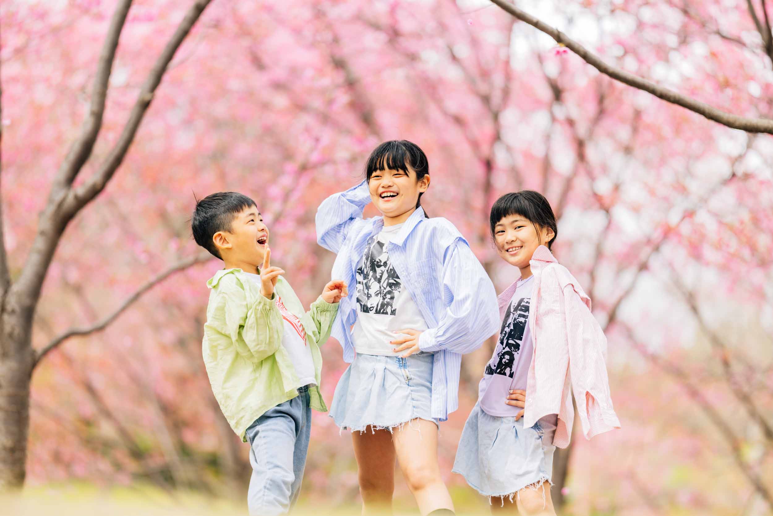 Three kids laugh and pose among blooming pink cherry trees on a sunny day.