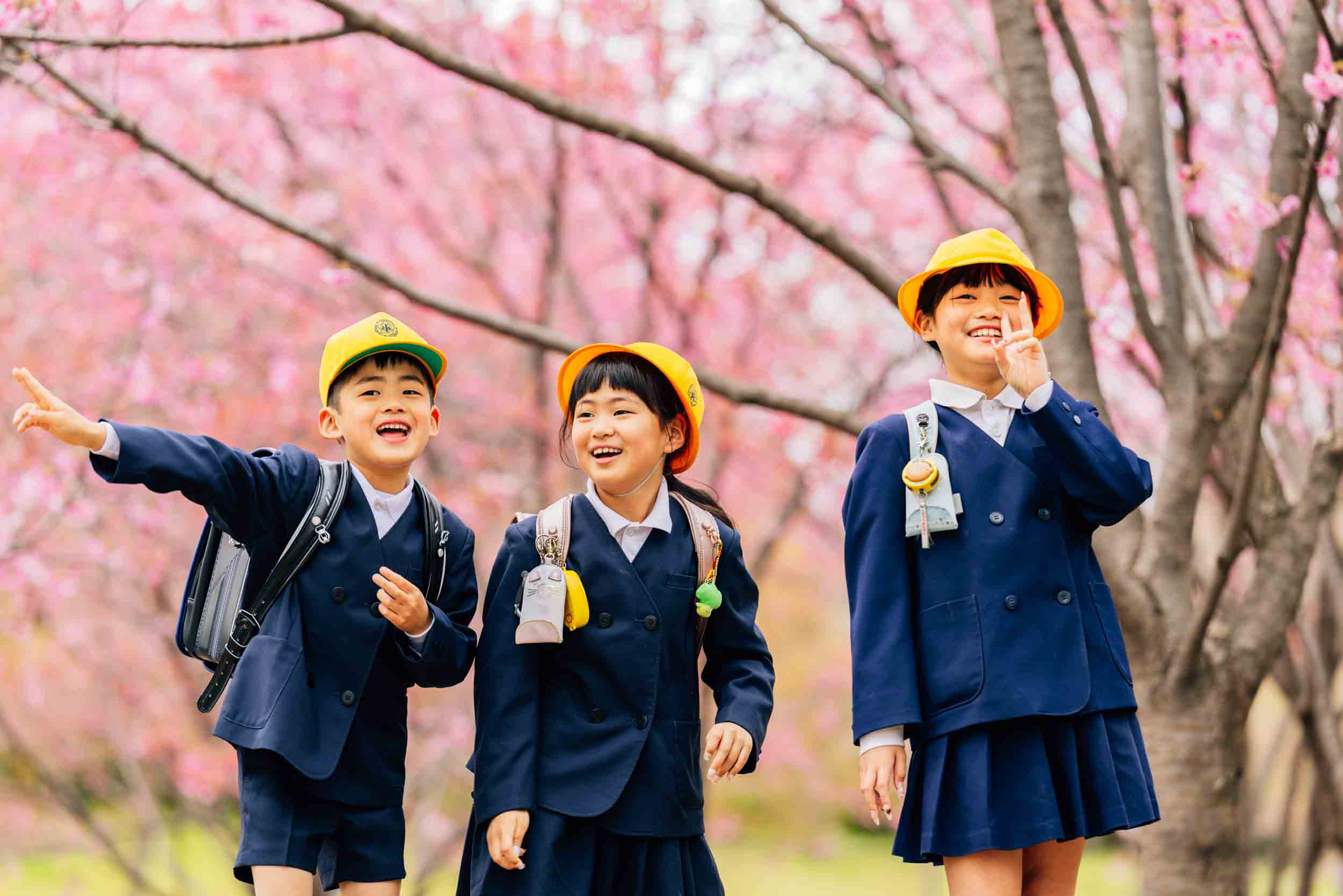 Three smiling schoolchildren in navy uniforms and yellow hats stand among blooming cherry trees with pink blossoms.